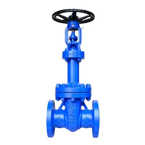 Bellows Gate Valve