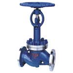 Cryogenic Globe Valve