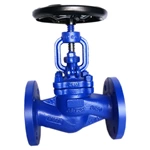 Steam Globe Valve
