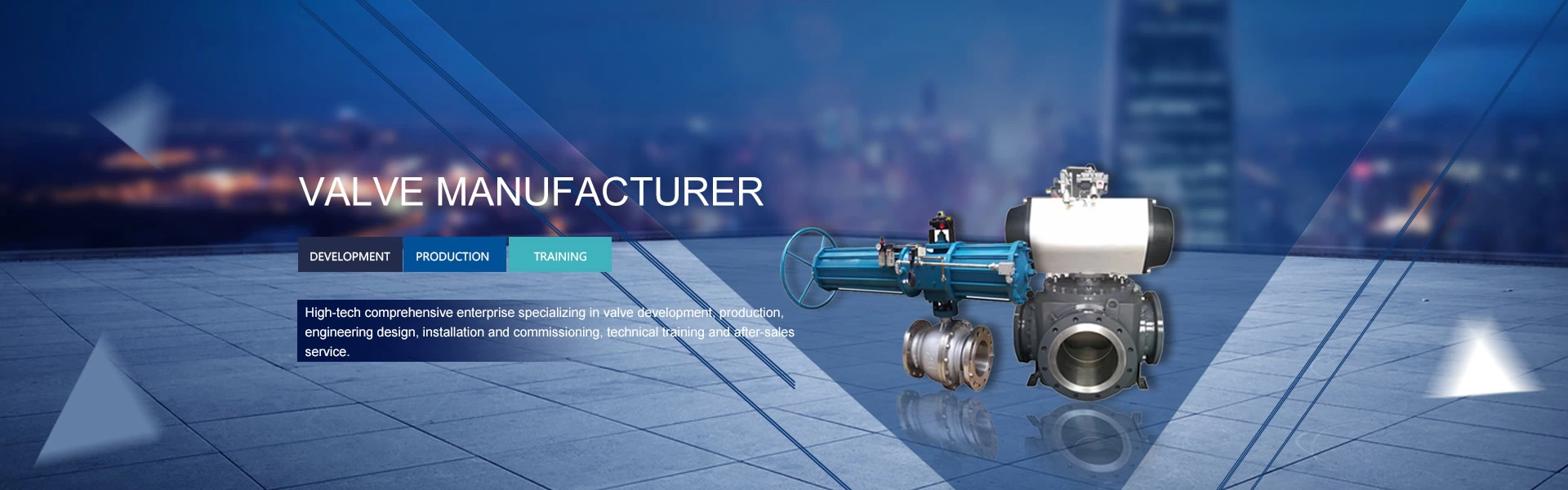 gate valve manufacturer